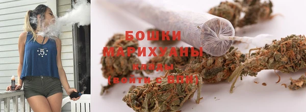 твердый Майский