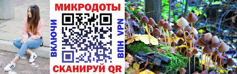 Галлюциногенные грибы Psilocybe Шумерля